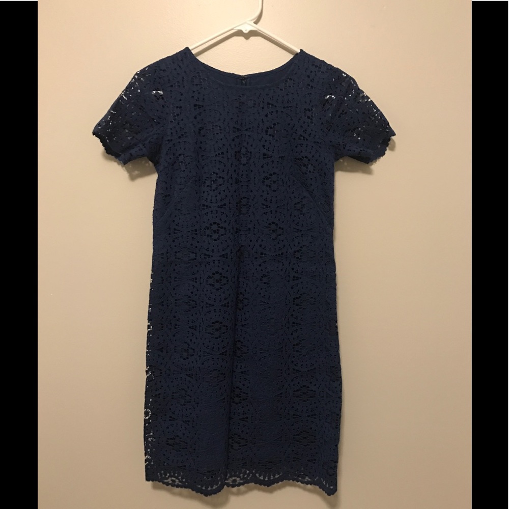 Blue Lace Shift Dress from Ann Taylor